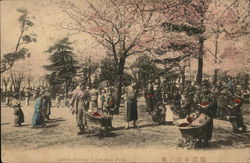 Cherry Blossom Yokohama Park Postcard