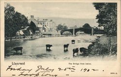 View of Town and Bridge Postcard