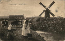 In De Weide Postcard