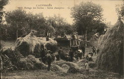 Threshing Sheves in L'Auvergne France B&W photo early 1900's Postcard Postcard Postcard