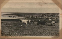 View of Town from South-West Postcard