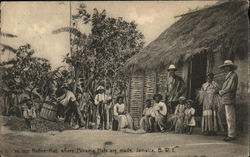 Native Hut Jamaica Postcard Postcard Postcard