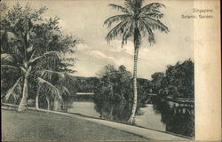 View of Botanic Garden Postcard