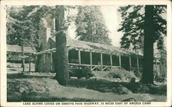 Lake Alpine Lodge on Ebbetts Pass Highway Postcard