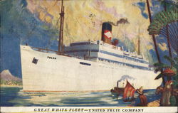 Steamer Toloa, Great White Fleet - United Fruit Company Steamers Postcard Postcard Postcard