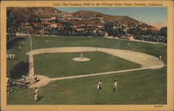 The Training Field of the Chicago Cubs Santa Catalina Island, CA Postcard Postcard Postcard