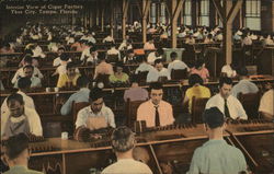 Interior View of Cigar Factory in Ybor City Postcard