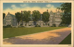 Cornell University - Balch Hall Postcard