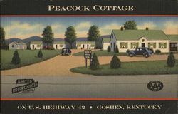 Peacock Cottages Restaurant Postcard