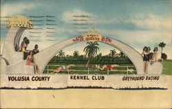 Volusia County Kennel Club Daytona Beach, FL Postcard Postcard Postcard