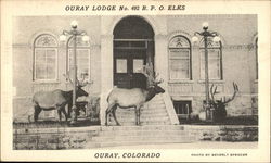 Ouray Lodge No. 492 BPO Elks Colorado Postcard Postcard Postcard