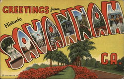 Greetings from Savannah Postcard