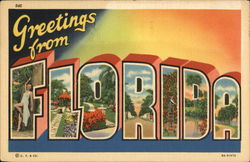 Greetings from Florida Postcard Postcard Postcard