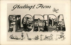 Greetings From Florida Postcard