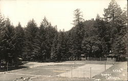 Adanac Cottages Postcard