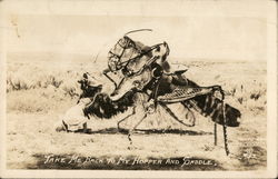 Take Me Back to My Hopper and Saddle - Grasshopper Exaggeration Postcard Postcard Postcard