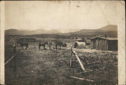 View of the Brown Ranch in the Arizona Territory Postcard Postcard Postcard