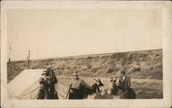 Men at Tent Camp on Donkeys Postcard