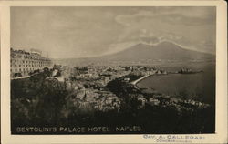 Aerial View of Bertolini's Palace Hotel Naples, Italy Postcard Postcard Postcard