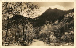 "Springtime In The Smokies" - Great Smokey Mountain National Park Postcard