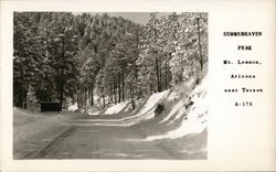 Summerhaven Peak, Mt. Lemmon Tucson, AZ Postcard Postcard Postcard