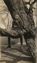 Boy Sitting in Tree South Effingham, NH Postcard Postcard Postcard