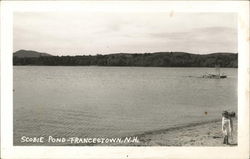 Scobie Pond Postcard