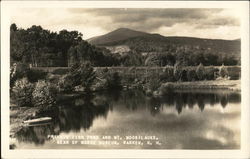 Private Fish Pond and Mt. Moosilauke - Rear of Morse Museum Warren, NH Postcard Postcard Postcard