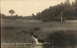 Frenchmans Brook and Meadow Ossipee, NH Postcard Postcard Postcard