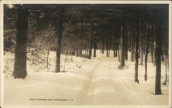 Road To Diana's Bath North Conway, NH Postcard Postcard Postcard