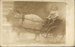 A baby sits in a goat cart - October 1916 Postcard