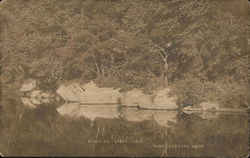 Scene on Crane Creek Postcard