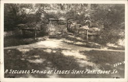 Spring at Ledges State Park Boone, IA Postcard Postcard Postcard