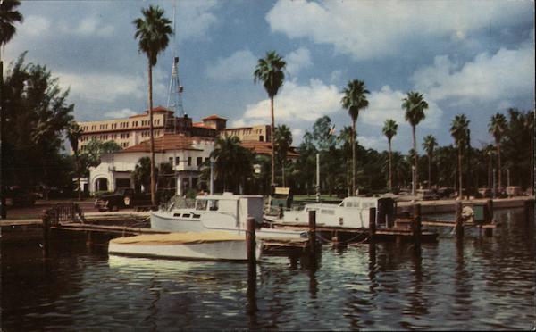 Looking Along Waterfront Park St. Petersburg, FL Postcard