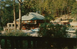 Mt. Lemmon Lodge Mount Lemmon, AZ Postcard Postcard Postcard