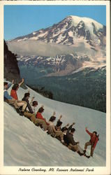 Nature Coasting, Mt. Rainier National Park Postcard