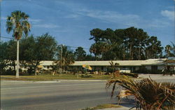 Dolphin Motel Postcard