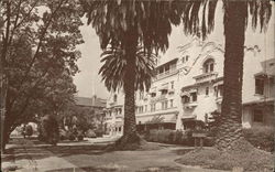 Hollywood Hotel "Internationally Famous" California Postcard Postcard Postcard