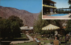 Pepper Tree Inn 625-645 No. Indian Ave. Postcard