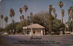 Greetings From the Carrot Capital of the World Holtville, CA Postcard Postcard Postcard