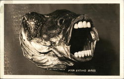 Man Eating Bass Fish Postcard Postcard Postcard