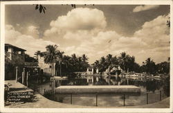 The Venetian Pool - Coral Gables, Florida Postcard Postcard Postcard