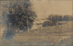 Mouth of Oswego Creek Postcard