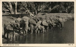 East African Game - Elephants at Water Hole Postcard Postcard Postcard