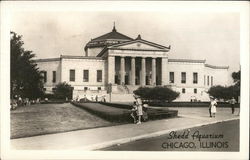 Shedd Aquarium Postcard