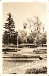 A Scene at Iowa State College Postcard