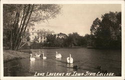 Iowa State College - Lake Laverne Ames, IA Postcard Postcard Postcard