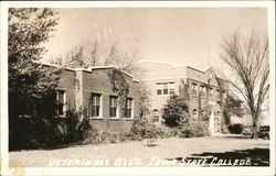 Veterinary Bldg. Iowa State College Ames, IA Postcard Postcard Postcard