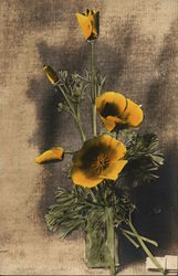 Bouquet of California Poppies Postcard