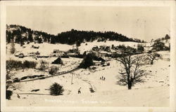 Winter Scene Postcard